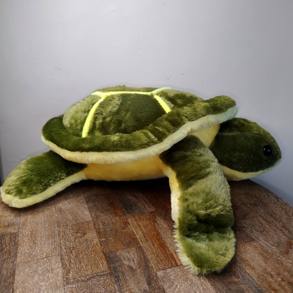 Medium Ocean City turtle from Ocean City, Maryland